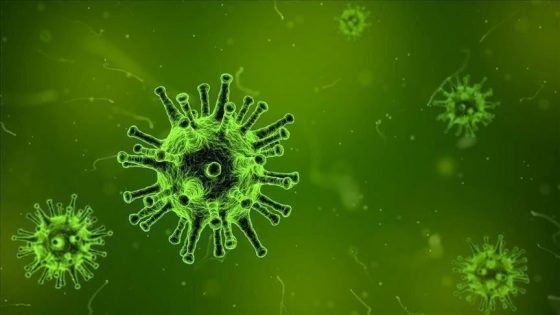 الإمارات تسجل أول إصابة بفيروس كورونا الجديد