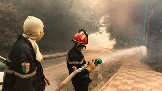 ارتفاع حصيلة ضحايا حرائق الغابات في الجزائر إلى 69 شخصا بينهم 28 عسكريا