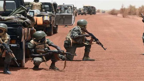 مالي تطرد المتحدث باسم بعثة الأمم المتحدة للسلام